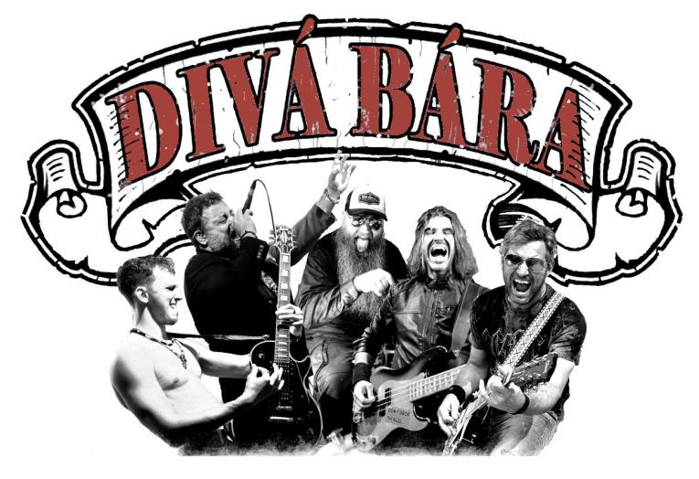 Bára